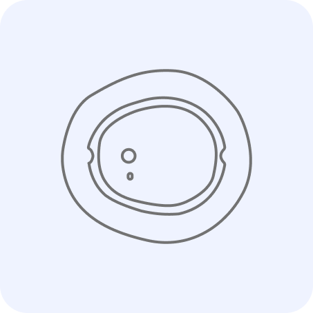 Dexcom G7/ ONE+ / Stelo